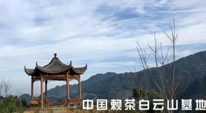 著名作曲家张鹤 歌唱家付豪 助力中国赖茶