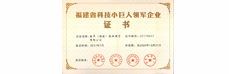 2017年获科技小巨人企业证书