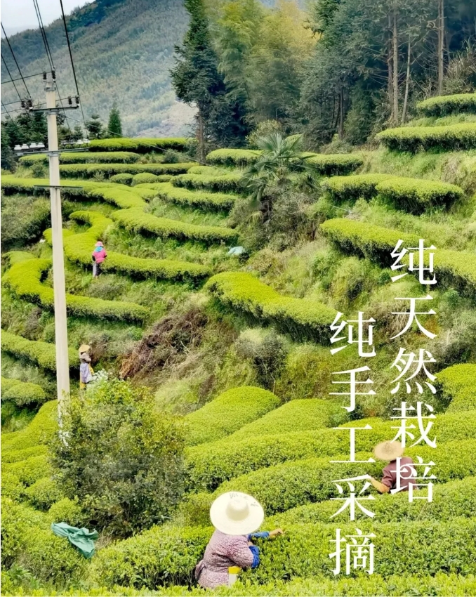 微信截图_20240522151103.png