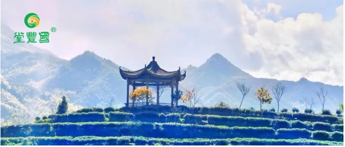 微信截图_20240522151217.png